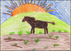 Drawing 8