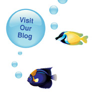 Visit Our Blog