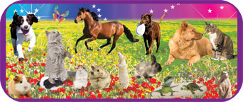 Shop Pet Loss Products